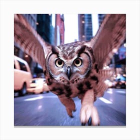 Owl In Flight Canvas Print