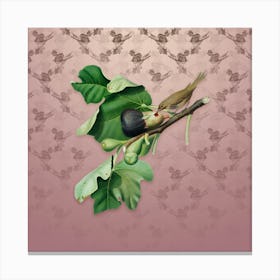 Vintage Fig with Bird Botanical on Dusty Pink Pattern n.0611 Canvas Print