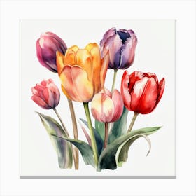 Watercolor Tulips 4 Canvas Print