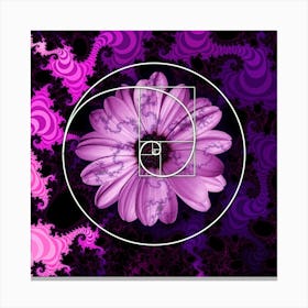 Sacred Geometry Fibonacci Spiral Flowers 1 Leinwandbild