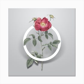 Vintage Stapelia Rose Bloom Minimalist Flower Geometric Circle on Soft Gray n.0288 Canvas Print