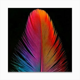 Firefly Vibrant Multicolored Feather With Intricate Gradient Details 47031 (2) Canvas Print