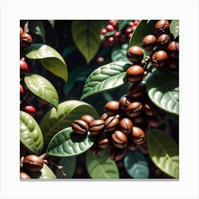 Coffee Beans On A Tree 75 Canvas Print