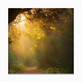 Sunbeams Canvas Print