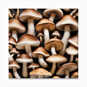 Many Mushrooms On A Black Background 1 Canvas Print