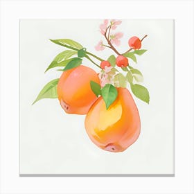 Apricot Canvas Print