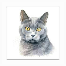 Chartreux Cat Portrait Canvas Print