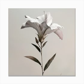 Lily Of The Valley Canvas Print