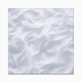 Snowy Surface Canvas Print