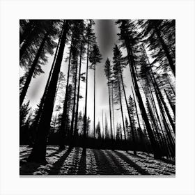 Shadows In The Forest Canvas Print