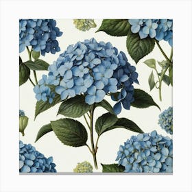 Hydrangea Blue Botanical Illustration Canvas Print