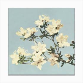 Vintage Japanese Azaleas Illustration, Ogawa Kazumasa Canvas Print