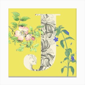 Botanical J Canvas Print