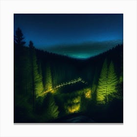 Night Forest Canvas Print