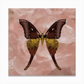 Mechanical Butterfly The Hercules Moth Techno Coscinocera Hercules Beige Canvas Print