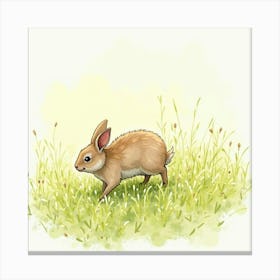 Rabbit In The Grass Canvas Print