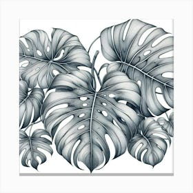 Line Art monstera leaves 3 Canvas Print