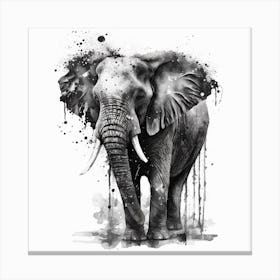Elephant Black and White Painting Canvas Print