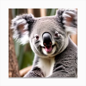 Koala Canvas Print