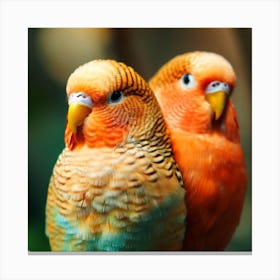 Two Parrots Canvas Print