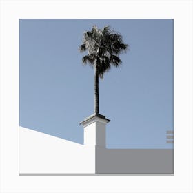 The Short and Tall of It Square Canvas Print