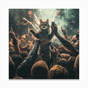 Cat On Stage 5 Canvas Print