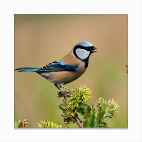 Tit on branch 42 Canvas Print