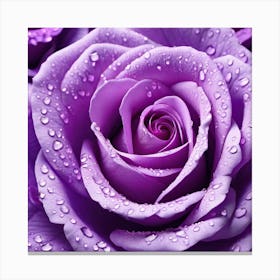 Purple Roses With Water Droplets Canvas Print