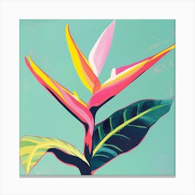 Heliconia 2 Square Flower Illustration Canvas Print
