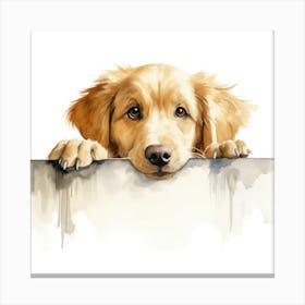 Golden Retriever 4 Canvas Print