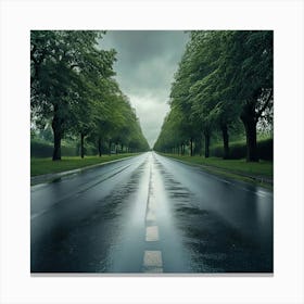 Wet Road Canvas Print