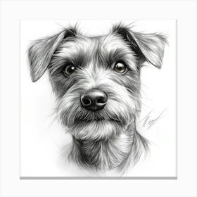 Irish Terrier Canvas Print