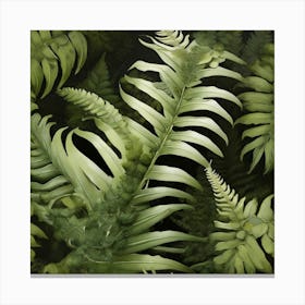 Fern leaf 1 Canvas Print