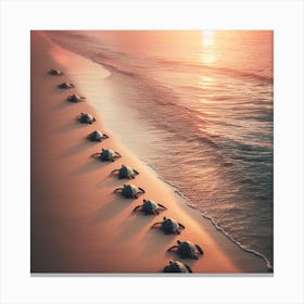Marching Turtles at Sunset Canvas Print