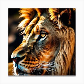 Lion Portrait 13 Canvas Print