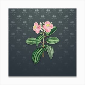 Vintage Starry Osbeckia Flower Botanical on Slate Gray Pattern n.2471 Canvas Print