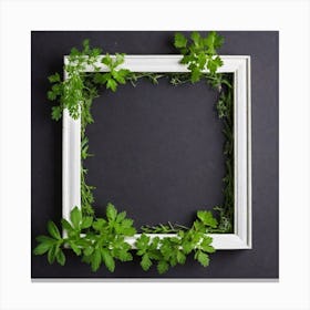 Frame With Herbs 2 Canvas Print