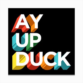 Ay Up Duck Canvas Print