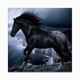 Stallion Canvas Print