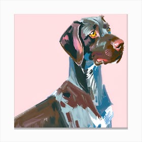 German Shorthaired Pointer 03 Canvas Print