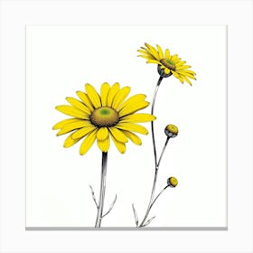 Yellow Daisies 1 Canvas Print