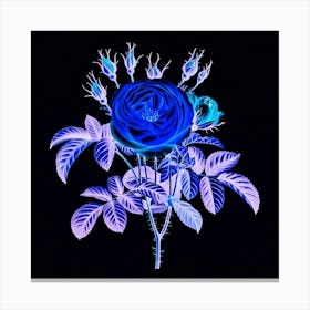 Blue Rose Canvas Print