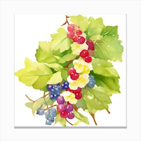 Currant Canvas Print