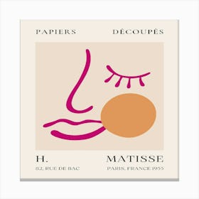 Matisse (22) Canvas Print