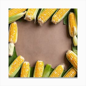 Corn On The Cob 24 Canvas Print