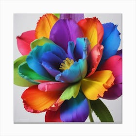 Rainbow Tulip Canvas Print