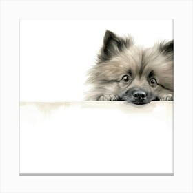 Pomeranian Dog 2 Canvas Print