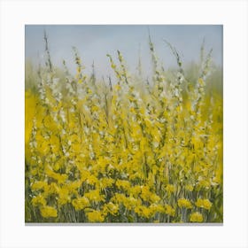 Canola Field 1 Canvas Print