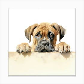 Boxer Dog 10 Canvas Print