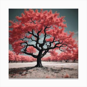 Red Tree Canvas Print